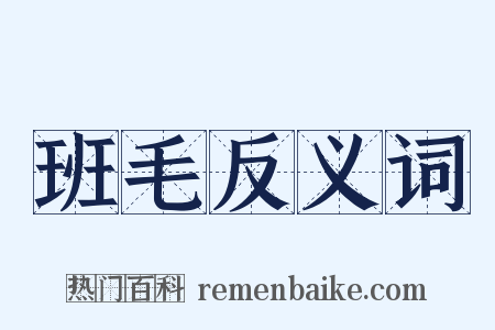 班毛反义词是什么意思的图片